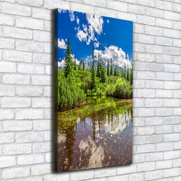 Quadro su tela canvas verticale Lago tra le montagne