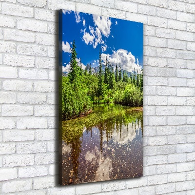 Quadro su tela canvas verticale Lago tra le montagne