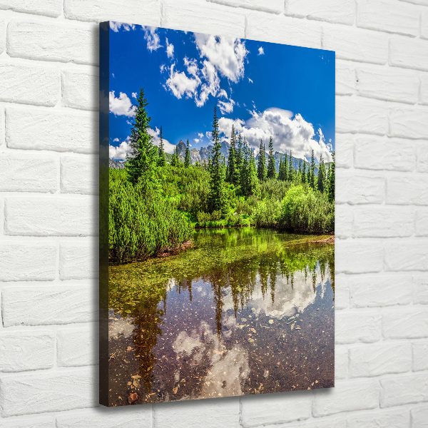 Quadro su tela canvas verticale Lago tra le montagne