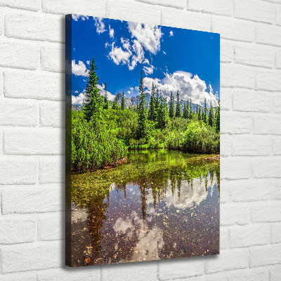Quadro su tela canvas verticale Lago tra le montagne