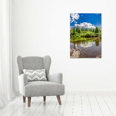 Quadro su tela canvas verticale Lago tra le montagne