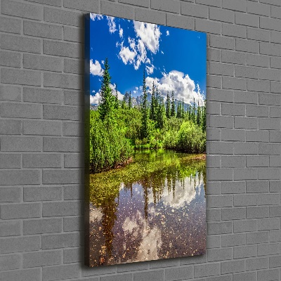 Quadro su tela canvas verticale Lago tra le montagne