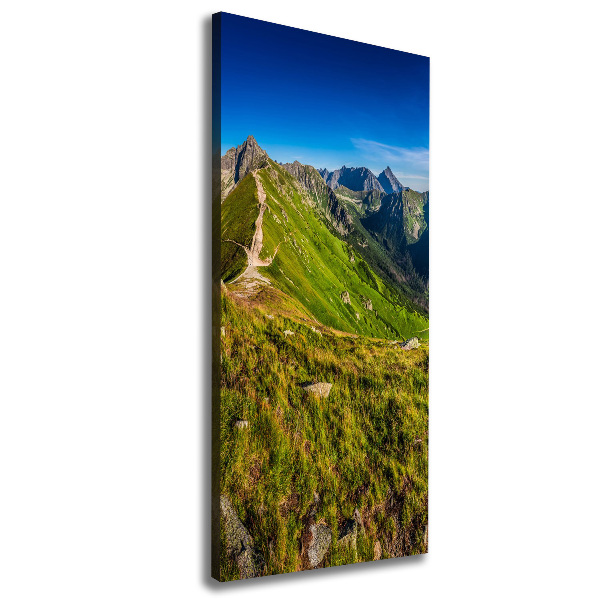 Quadro su tela canvas verticale Monti Tatra