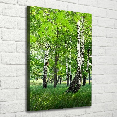 Stampa quadro su tela verticale Foresta di betulle