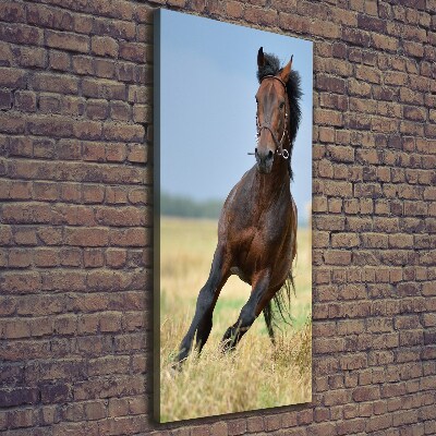 Quadro foto su tela verticale Un cavallo in un campo