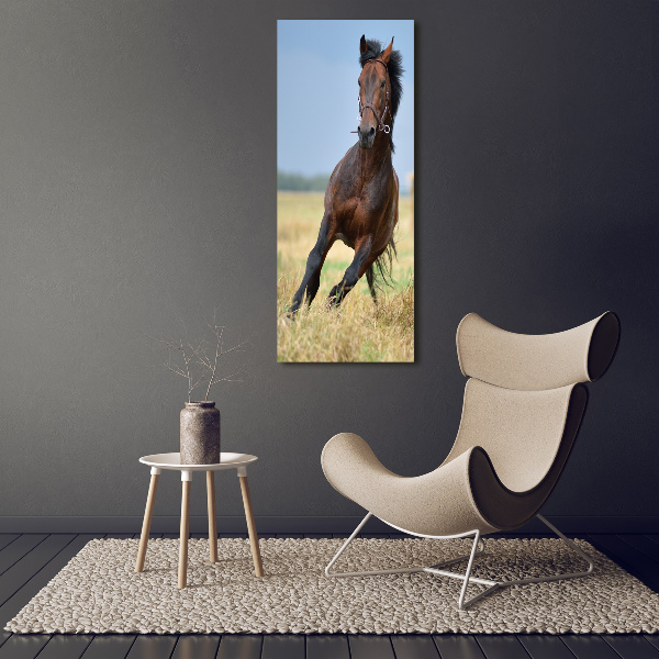 Quadro foto su tela verticale Un cavallo in un campo