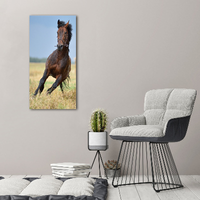 Quadro foto su tela verticale Un cavallo in un campo