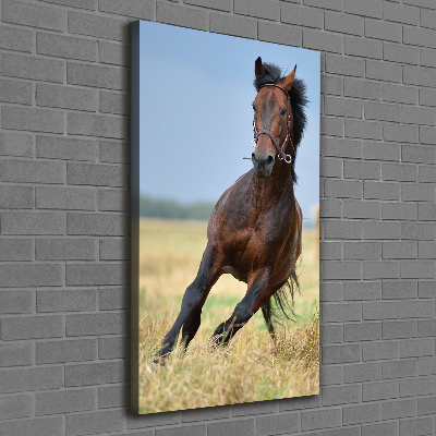 Quadro foto su tela verticale Un cavallo in un campo