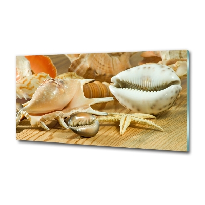 Quadro in verde Conchiglie su legno
