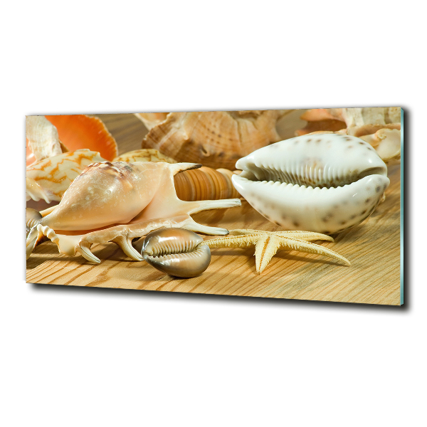 Quadro in verde Conchiglie su legno
