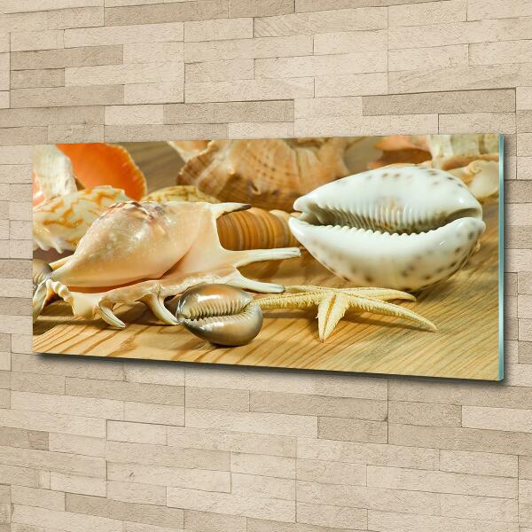 Quadro in verde Conchiglie su legno