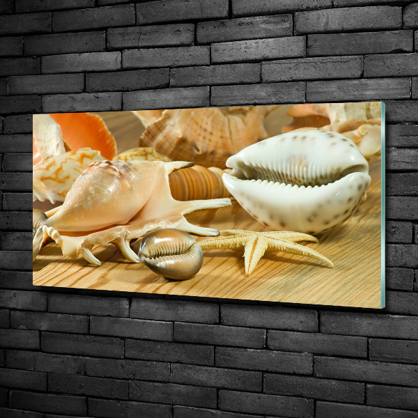 Quadro in verde Conchiglie su legno