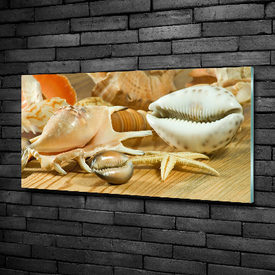 Quadro in verde Conchiglie su legno