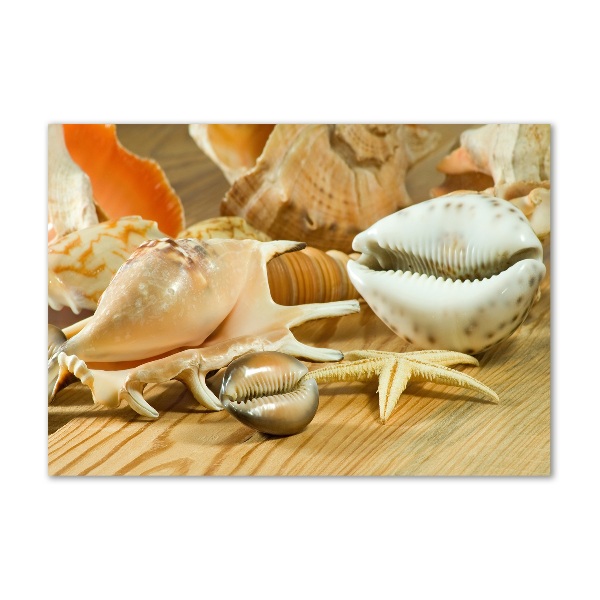 Quadro in verde Conchiglie su legno
