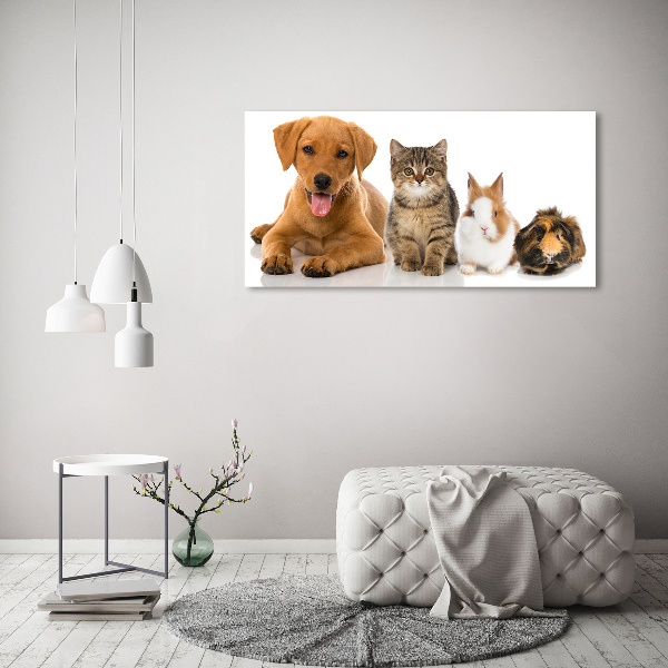 Quadro su vetro Cane e gatto
