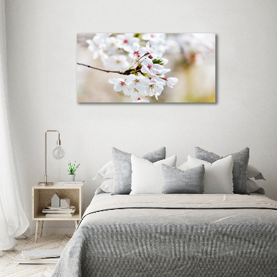 Quadro vetro Fiori di ciliegio