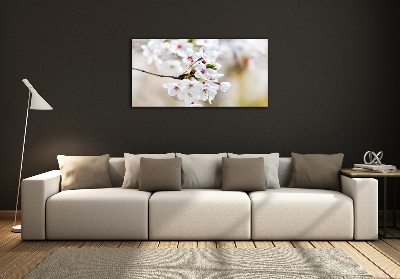 Quadro vetro Fiori di ciliegio