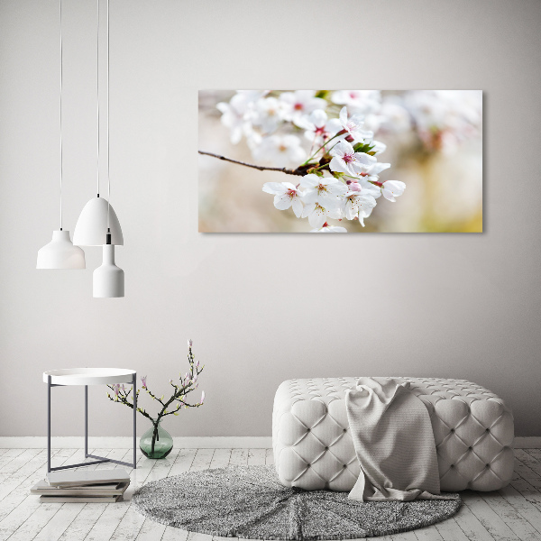 Quadro vetro Fiori di ciliegio