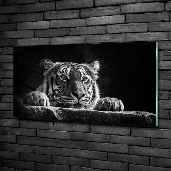 Quadro in verde Tigre