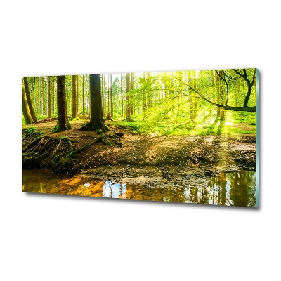 Quadro vetro Raggi di sole nella foresta