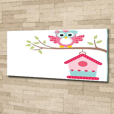 Quadro in verde Gufo su un ramo