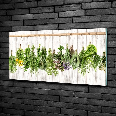 Quadro su vetro Erbe aromatiche su un filo