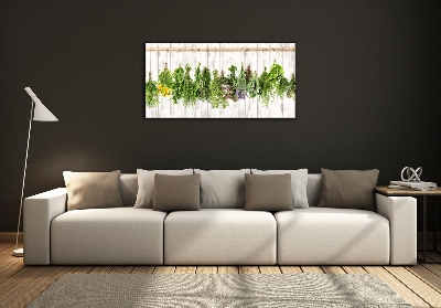 Quadro su vetro Erbe aromatiche su un filo