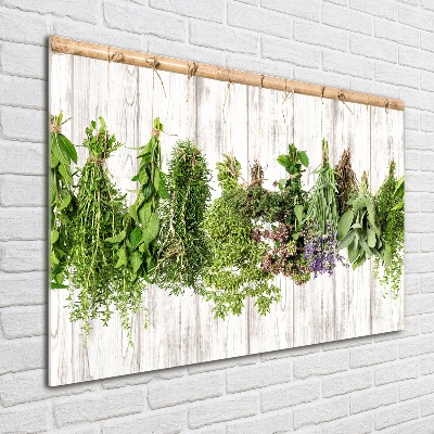 Quadro su vetro Erbe aromatiche su un filo