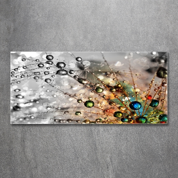 Quadro vetro Semi di tarassaco