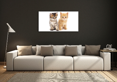 Quadro su vetro Gatto marrone e zenzero