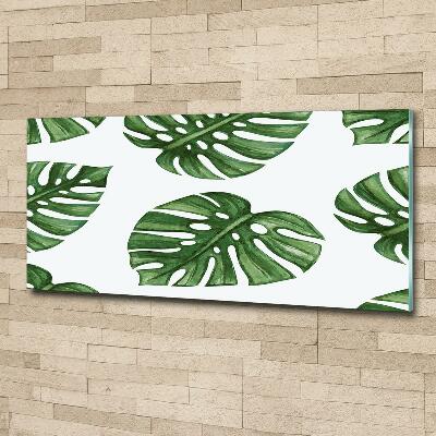 Quadro su vetro Monstera