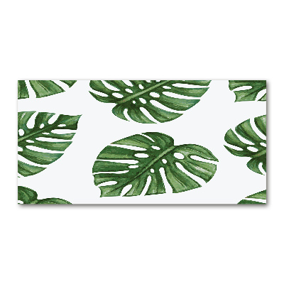 Quadro su vetro Monstera