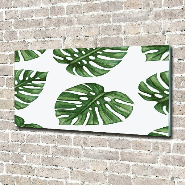 Quadro su vetro Monstera