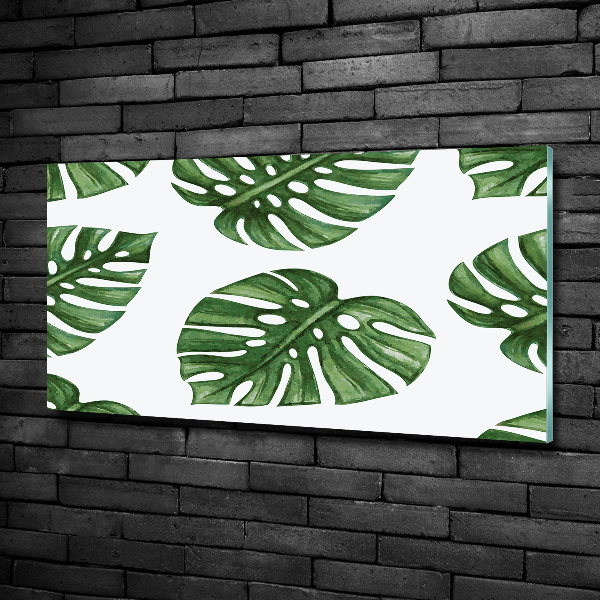 Quadro su vetro Monstera