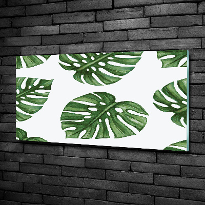 Quadro su vetro Monstera