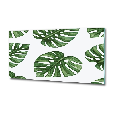 Quadro su vetro Monstera