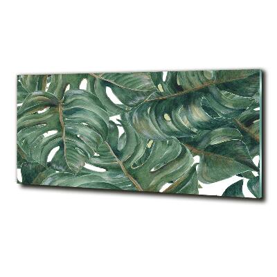 Quadro vetro Monstera