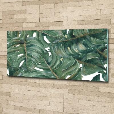 Quadro vetro Monstera