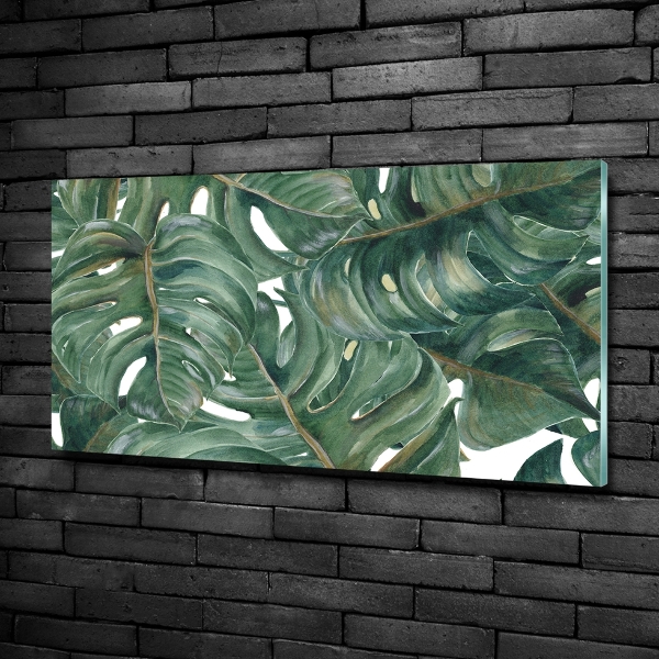 Quadro vetro Monstera