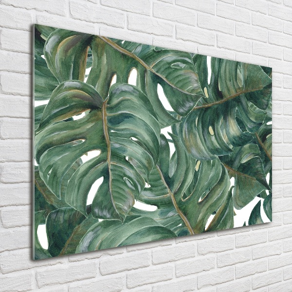 Quadro vetro Monstera