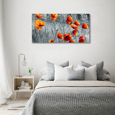 Quadro in vetro Papaveri di campo