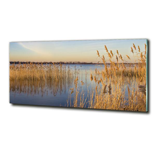 Quadro vetro Canna d'acqua