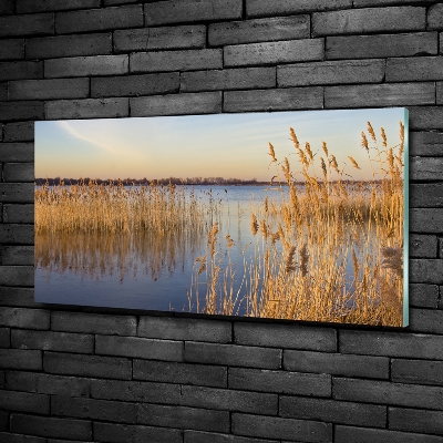 Quadro vetro Canna d'acqua