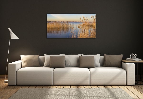 Quadro vetro Canna d'acqua