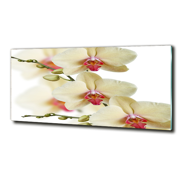 Quadro su vetro Orchidea