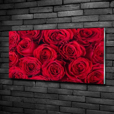 Quadro vetro Rose