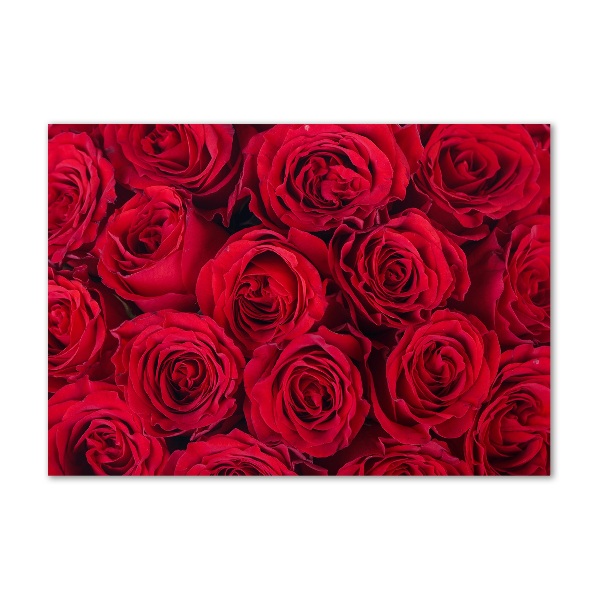 Quadro vetro Rose