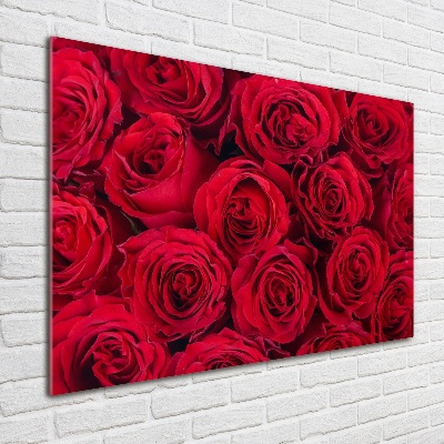 Quadro vetro Rose