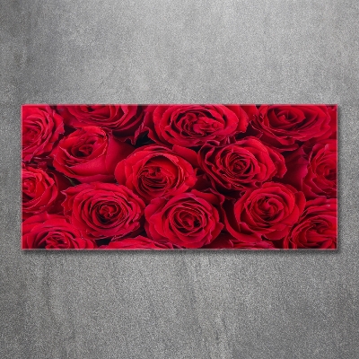 Quadro vetro Rose