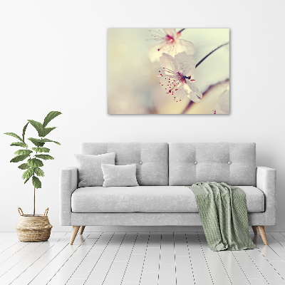 Quadro su vetro Fiori di ciliegio